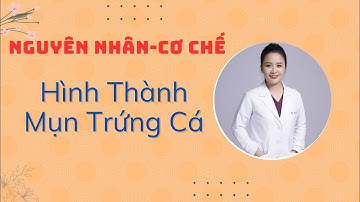 Nguyên Nhân Gây Mụn Trứng Cá Là Gì Các Cơ Chế Hình Thành Mụn Trứng Cá/ Bác Sĩ Nga
