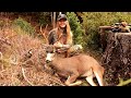 TAYLOR'S BLACKTAIL BUCK SOLO HUNT  || OREGON 2020