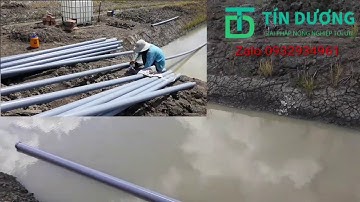 Cách lắp đặt hệ thống tưới sầu riêng nhanh và hiệu quả. TÍN DƯƠNG 0932934961