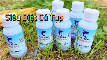 Diệt Cá Tạp Cải Tạo Ao Nuôi Cá