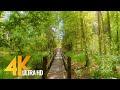 4K Walking Tour through the Amazing Natural Landmarks of Lithuania - Part #2