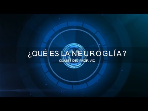 Video: ¿Cuál de las siguientes no es una neuroglía del SNC?