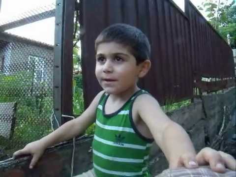 ნიკოლოზ ლელაძე.