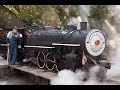 Swanton pacific railroad live steam 19 gauge