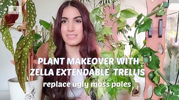 How To : Set up The Zella Modular trellis on houseplants with @jaclynns.jungle