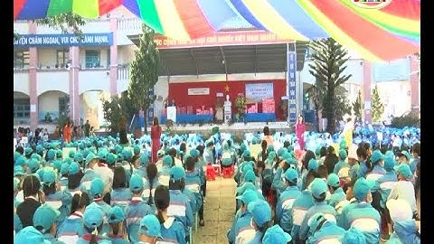 Đánh giá trường tiểu học tại đà lạt năm 2024