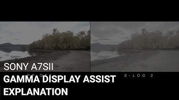 Sony a7Sii Gamma Display Assist Explanation