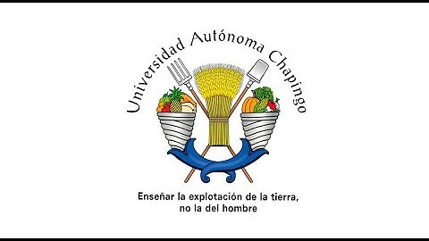 Taller de uso de Microsoft FORMS a Profesores de URUSSE