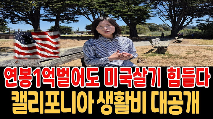 충격적인 미국 물가, 아파트 렌트비 370만원, 월 천만원 벌어도 살기 힘들다, 미친 미국물가, 비싼 생활비, 미국세금,미국이민, 미국생활, 미국영주권, 미국생활단점