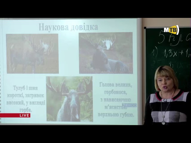 5 клас. Українська література