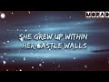 Alan Walker - Lily ft. K-391 & Emelie Hollow (Official Lyrics Video)