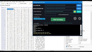 Tutorial gameguardian: How to dump protected global-metadata.dat(Legend Slime)