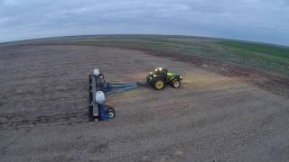 #plant16