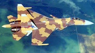 Sukhoi Su-37 Terminator edit