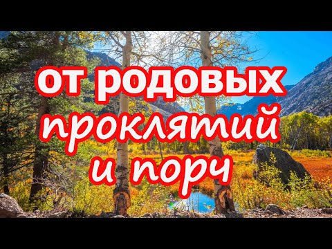 Заговор от родовых проклятий и родовых порч📯