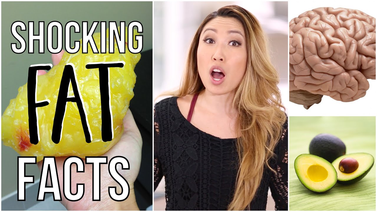 6 Shocking Facts About Fat Youtube