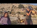 Iranian nomadic life | Traditional tent pitching training in the heart of the mountains