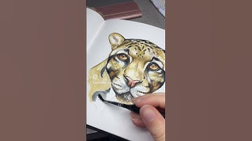 Watercolour clouded leopard 🐆