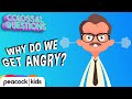 Understanding Anger