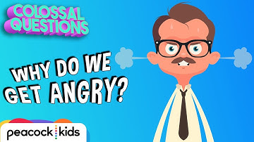 Why Do We Get Angry? | COLOSSAL QUESTIONS