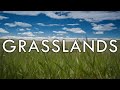 The Grassland Biome - Biomes #5