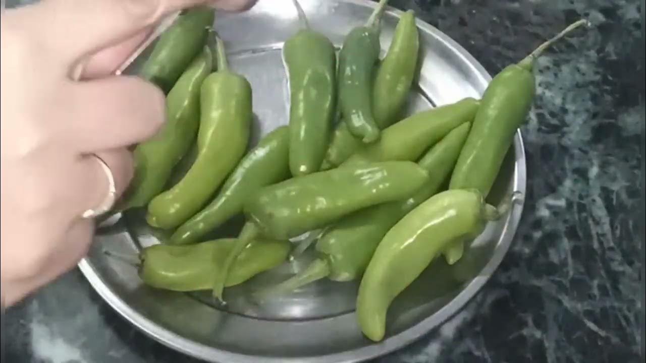 भरवा मिर्च रेसिपी.. Bharwa Mirchi Recipe.. Badi mirch. Winter special