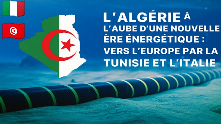 🇮🇹🇩🇿 Between gas and sun: how Algeria is building its electric bridge to Europe