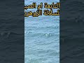 رقية حرق التابعة ام الصبيان الموروثة للسلالة الزوهرية وفصلها عن الجسد باذن الرحمان رقية حرق التابعة ام الصبيان الموروثة للسلالة الزوهرية وفصلها عن الجسد باذن الرحمان