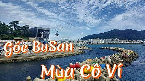 Góc Nhỏ Busan Mùa Cô Ví | cuộc sống hàn quốc |#121