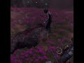 【Far Cry® New Dawn】熊が倒されたことに気づかず全力で逃げる女 #shorts #Farcry #farcrynewdawn
