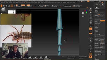 Nature, Animals, Biodiversity, & Science - Eric Keller: That Guy Who Sculpts a Lot of Bugs and Sp…