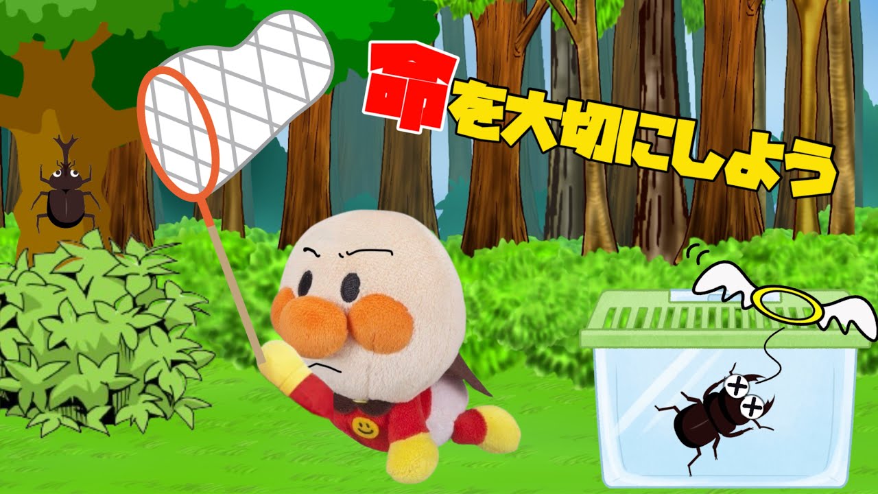 虫や魚の命を大切に⭐️カブトムシ、チョウチョ、魚捕りしたことある？生き物を捕まえたり飼ったりする時は大切に扱ってあげようね⭐️楽しく生き物を育てよう！アンパンマンアニメ⭐️