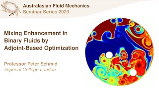 Famous AFMS Webinar 2020 #18 - Professor Peter Schmid (Imperial College London) Wealth