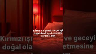 Bebeğin gece rahat uyusun istiyorsan, doğru ışık her şeyi değiştirir.
