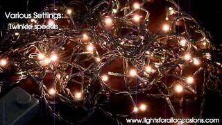 rice lights warm string