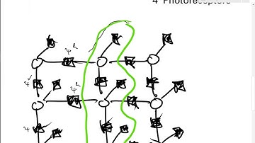 Lecture 2.6 Tree-Shaped MRF | Undirected Probabilistic Graphical Models | MLCV 2017