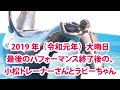 2019年（令和元年）12月31日大晦日、最後のパフォーマンス終了後の、小松トレーナーさんとラビーちゃんの、まったりシーン【鴨川シーワールド　シャチパフォーマンス】