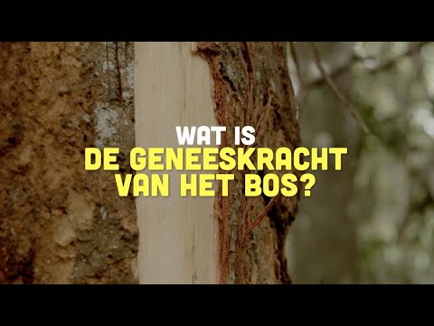 Video: Waarom Je Het Bos Moet Beschermen