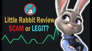 Little Rabbit Review Scam Or Legit Token