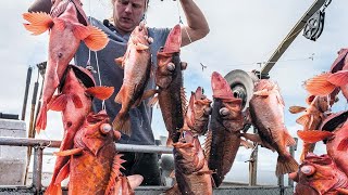 Most Satisfying longline fishing Catch Many Fish That live on The Sea - Automatic longline fishing