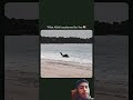 #love #animals #camel #lovestatus #youtubeshorts #viralvideo #success #subscribe 😍☺😚😘