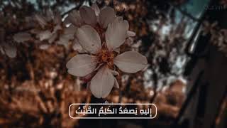 (عبد الباسط عبد الصمد) حالات واتس قرآن قصيرة ❤️ قرآن_يريح_القلب