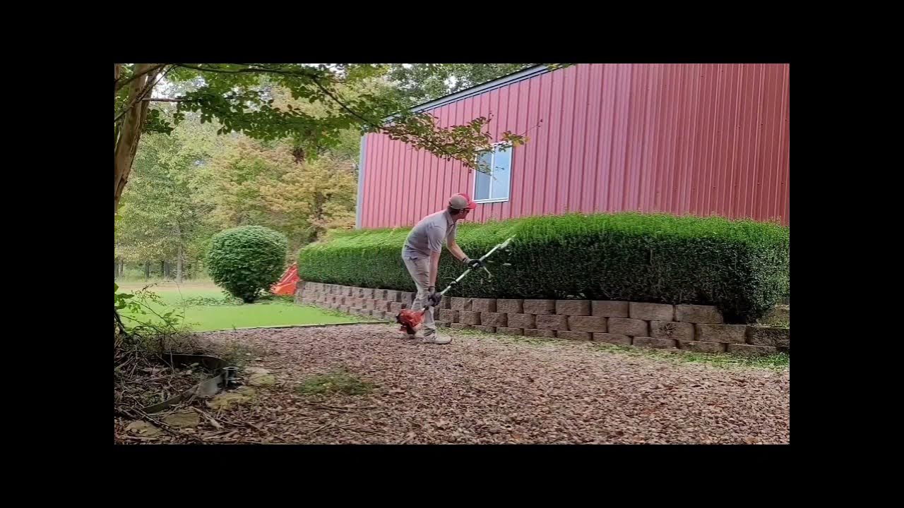 Bush trimmings/yard clean up YouTube