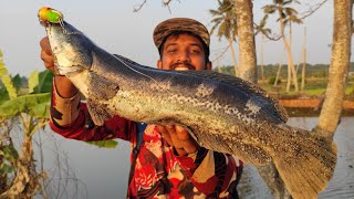 നീല വാഹയെ കിട്ടി മക്കളെ.. 🦚 | Blue Snakehead Fish | Fishingvideos | Snakehead Fishing Videos | Viral