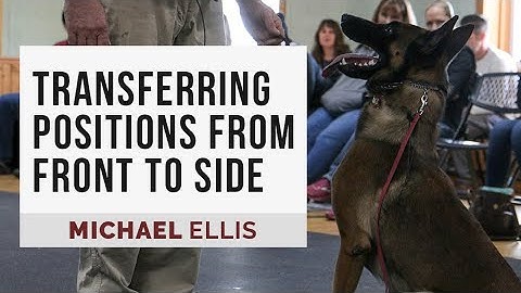 Michael Ellis on Transferring Positions From Front to Side