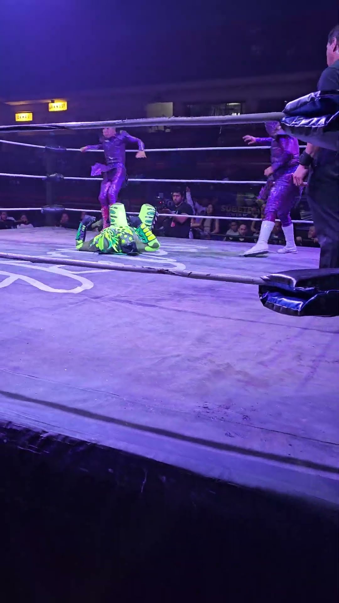 Tope del Rey Halcón y Aguila Roja en la Arena Naucalpan
