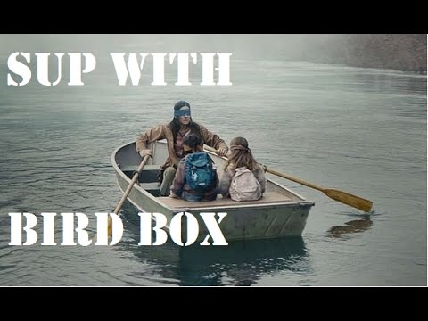sup-with-|-bird-box