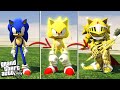 SONIC becomes EXCALIBUR SONIC (GTA 5 Mods)