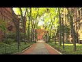 Authentic Ivy: The Balance