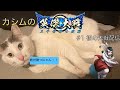 【英傑大戦】かしむの英傑大戦配信 #1 初めての大戦配信